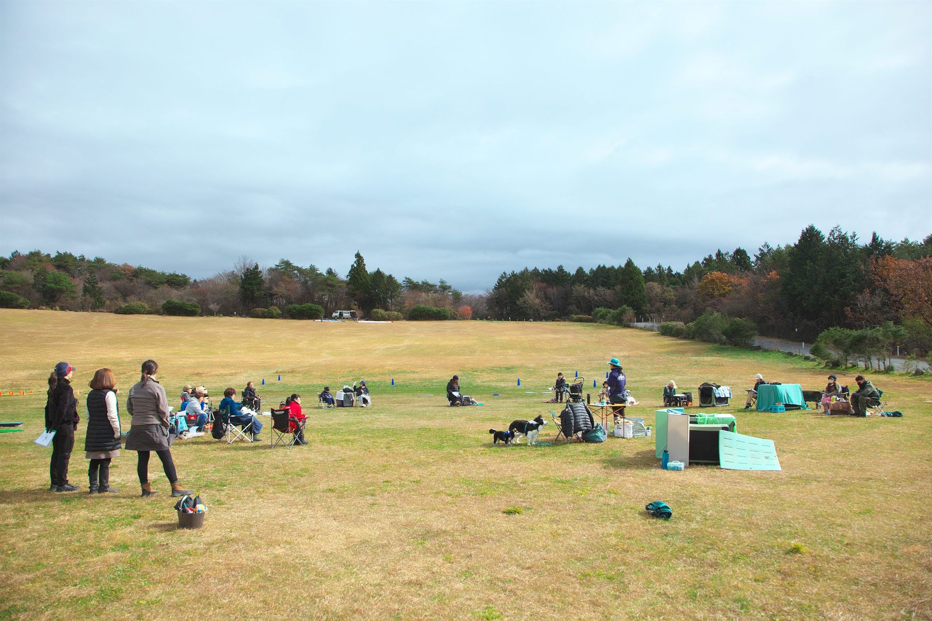 広い草原で行われているワークショップの全景