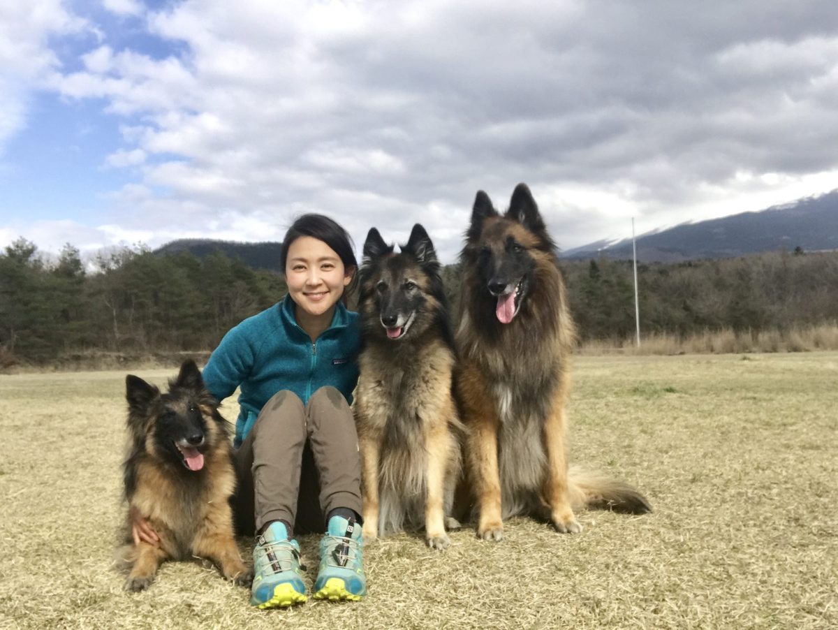 愛犬のベルジアンシェパード・タービュレン3頭と長和ゆかり